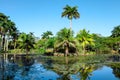 Tropical lake nearby crocodile farm at Playa Larga, Cuba