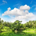 Tropical lake palm trees blue sky Nature landscape Royalty Free Stock Photo