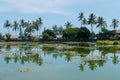 Tropical lake and palm trees with water reflections in Candidasa, Bali Royalty Free Stock Photo