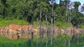 Tropical lake at Tasik Kenyir