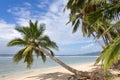 Tropical landscape Royalty Free Stock Photo