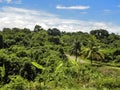 Tropical landscape of Babeldaob, Palau. Royalty Free Stock Photo