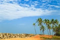 Tropical landscape with blue sky and palm trees. Royalty Free Stock Photo