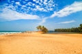 Tropical landscape with blue sky and palm trees. Royalty Free Stock Photo