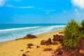 Tropical landscape with blue sky and palm trees. Royalty Free Stock Photo