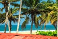 Tropical landscape with blue sky and palm trees. Royalty Free Stock Photo