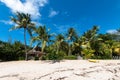 Tropical landscape with coconut palm beach on the island of Boipeba Bahia Brazil Royalty Free Stock Photo