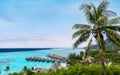 Tropical landscape with coconut palm tree at tropical luxury overwater bungalow vacation resort. Royalty Free Stock Photo