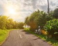 Tropical landscape with empty road and green roadside. Tropic forest travel by bike.