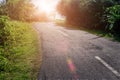 Tropical landscape with empty road and green roadside. Tropic forest travel by bike.