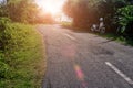 Tropical landscape with empty road and green roadside. Tropic forest travel by bike.