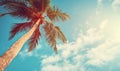 Tropical landscape featuring a prominent palm tree under a vast blue expanse. Created with AI Royalty Free Stock Photo