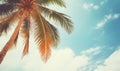 Tropical landscape featuring a prominent palm tree under a vast blue expanse. Created with AI Royalty Free Stock Photo