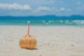 Tropical landscape. fresh coconut with a straw on a sandy beach Royalty Free Stock Photo