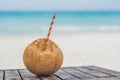Tropical landscape. fresh coconut with a straw on a sandy beach Royalty Free Stock Photo