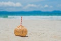 Tropical landscape. fresh coconut with a straw on a sandy beach Royalty Free Stock Photo