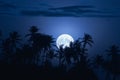 Tropical Landscape of a Full Moon, Palm Trees in the Night Sky's Background Royalty Free Stock Photo