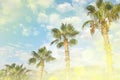 Tropical landscape with green palms and mountains and cloudy sky in summer day. Royalty Free Stock Photo