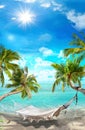 Tropical landscape