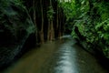 Tropical Landscape. Hidden Canyon In The Jungle. River In Rain Forest. Soft Focus. Slow Shutter Speed, Motion Photography. Bangli