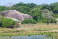 A tropical landscape. High point mountains view. Sika deers and buffalos graze in the meadow in the background. Yala National Park