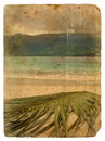 Tropical landscape. Old postcard. Royalty Free Stock Photo