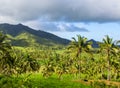 Tropical landscape with palm tree and mountain. Blue sky view with coco palm trees. Royalty Free Stock Photo