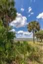 Tropical Landscape with Palm Trees and Blue Sky Royalty Free Stock Photo