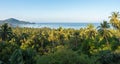 Tropical landscape with palm trees, clear blue sky and view on sea horizon from the high in sunny morning Royalty Free Stock Photo