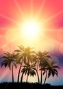 Tropical landscape with palm trees silhouetted against sunset sky Royalty Free Stock Photo