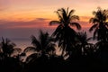 Tropical landscape with palm trees silhouettes against colorful pink and orange romantic sky during sunset Royalty Free Stock Photo