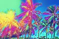 Tropical landscape with palm trees. Tropical nature neon digital illustration. Royalty Free Stock Photo