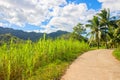 Tropical landscape with palm trees and village road. Countryside road in green tropical forest. Royalty Free Stock Photo