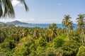 Tropical landscape of paradise Koh Tao island in Thailand. Panorama with palms, blue sky and view on sea Royalty Free Stock Photo