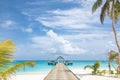 Tranquil tropical beach. Palm trees and white sand under blue sky. Exotic coast view, vertical beach banner. Summer travel Royalty Free Stock Photo