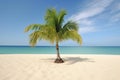 Tropical landscape of summer scenery, white sand with palm trees