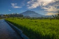 Tropical landscape during sunrise. Scenic view to Agung Volcano. River and rice fields in the village. Bali, Indonesia Royalty Free Stock Photo