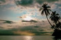 Tropical landscape, sunset over the ocean, silhouettes of palm trees, Hawaii, USA Royalty Free Stock Photo