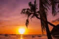 Tropical landscape at sunset. Palm trees on sky background. White beach. Boracay. Philippines. Royalty Free Stock Photo