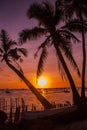 Tropical landscape at sunset. Palm trees on sky background. White beach. Boracay. Philippines. Royalty Free Stock Photo