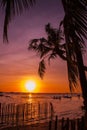 Tropical landscape at sunset. Palm trees on sky background. White beach. Boracay. Philippines. Royalty Free Stock Photo