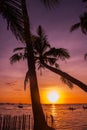 Tropical landscape at sunset. Palm trees on sky background. White beach. Boracay. Philippines. Royalty Free Stock Photo