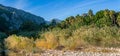 Tropical landscape, river valley between mountains with reeds and palm trees