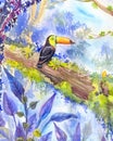 Tropical landscape with a toucan sitting on a branch