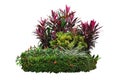 Tropical landscaping garden shrub with various types of plants,