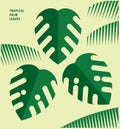 Tropical large green leaf of exotic monstera plant, palm leaves, isolated, modern graphic flat style, symbol, icon