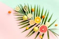 Tropical layout made of green palm leaf and fruits on colorful background. Food concept. flat lay, top view Royalty Free Stock Photo