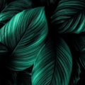 Green leaves for background and wallpaper