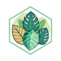 Tropical leaf arrangement inside a light green hexagon frame for backgrounds and templates Royalty Free Stock Photo