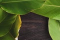 Tropical leaf banana calathea over wooden table